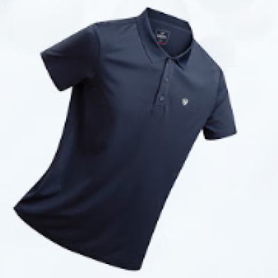ٽۣŵʫ  ʽٸɶT Polo 62.33Ԫ/3ˣ