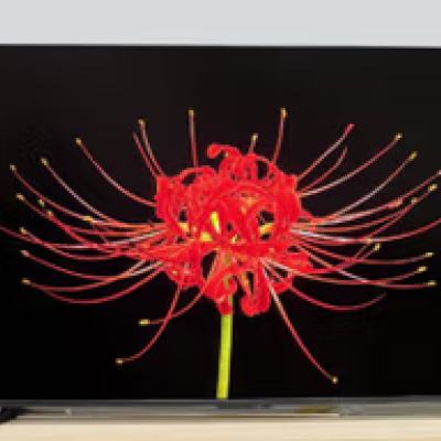ٽۡPLUSԱ  75Ӣ Vidda X 75VX5Q3520 Ԫȯ