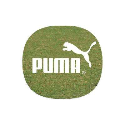 ΨƷ PUMA 11