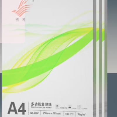 ˫ݸֽ ӡ滭д Լ۱ȡA4ӡֽ1001Ԫ