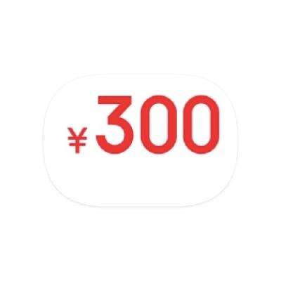 ̳ PLUSԱ 300Ԫܲ300Ԫܲ