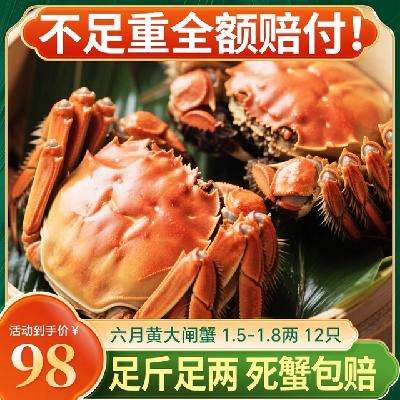 »ƴբз1.5-1.8x12ֻװ з85Ԫȯ
