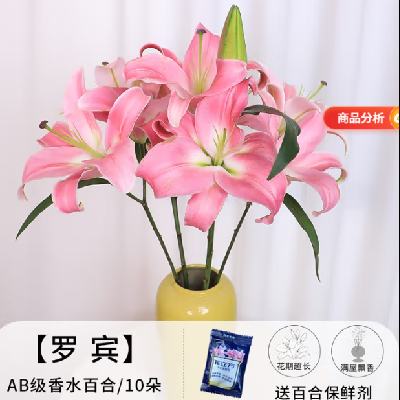ˮٺ10+ٺϷ+󻨰19.9Ԫ