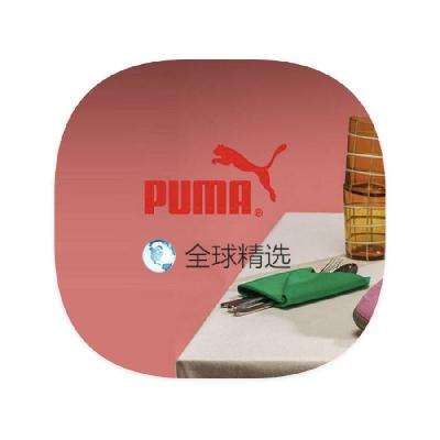 ΨƷ PUMA 0.70.7