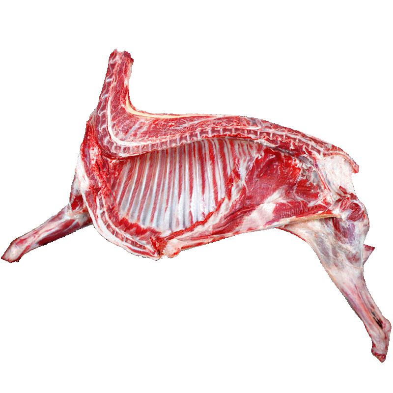 ǰֻ ̲ ְ 2+2+2Ы 3KG138Ԫ ʣȯ