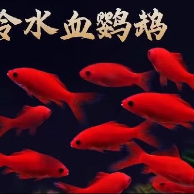 ��ˮ������������С�ͺ��������������вƷ�ˮ�����С����3-5��ˮ����һ�� 2.3Ԫ