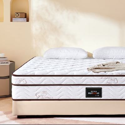 ��ӪĽʤ����ϯ��˼��Ȼ�齺Ҭ�ض����������Ǽ�ʮ��Ƶ�˫��Ӻ�Ʒ�� 532.51Ԫ