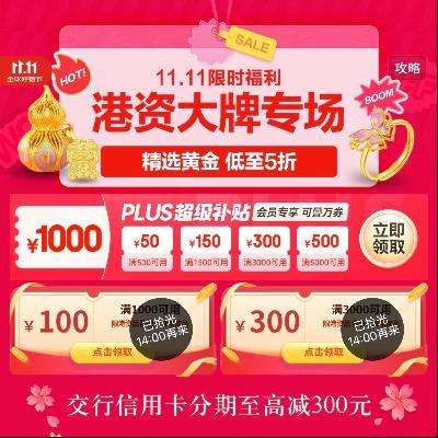  ʴר 1000100/3000300ԪŻȯ