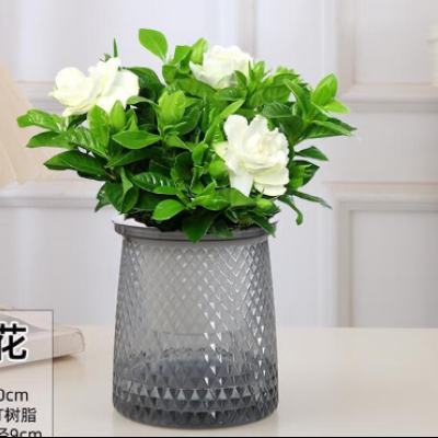 ���������ӻ���������ֲ���Ի��ܰ칫���ڶ�������������ˮ�������ֲ�� ���������ӻ� ���� ���� 2.9Ԫ