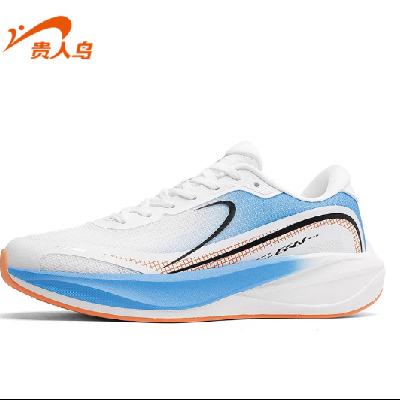  ˶Ь͸ѵЬ ʿ˶Ь 66Ԫ+3ԪԽ(ȯ)