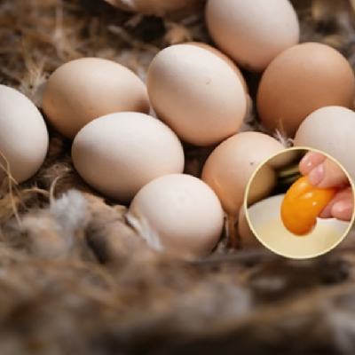 ũ��ɢ������������ 50��5��/ö 30ö 14.9Ԫ(����ȯ)