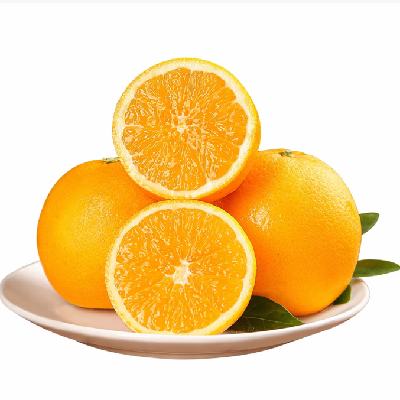 ������ ������� ����� ����280���� 10�ﾻ��9�� ������ժ