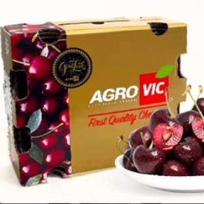 88VIP���������� ������ ԭ������ 2.5kg 2J�� ����28-30mm �ֻ� 127.55Ԫ+23.31Ԫ�Խ��(����ȯ����յ�)