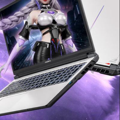 PLUS���޵������߲ʺ� ����P16 Pro 16Ӣ�� i9-13900HX RTX5070Ti 32G 1T ��ɫ 8048.51Ԫ����