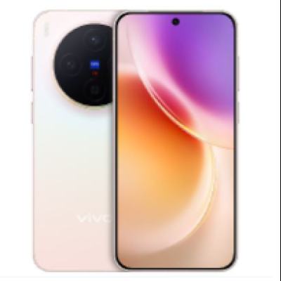 vivo X300 �ֻ� ��˾2�ڳ������� ���˲� 16+1T 4899Ԫ(����ȯ)