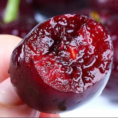 ���� ���������� 3J�� 2�����װ 30-32mm ���꼶ˬ������ 82.8Ԫ(����ȯ)