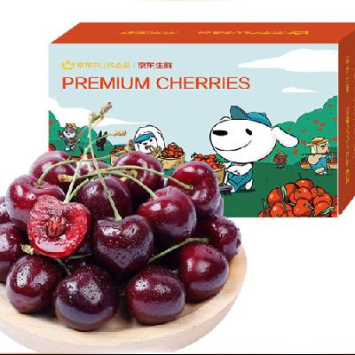 ������ ���������� 5J�� 900g���װ 114.1Ԫ(����ȯ)