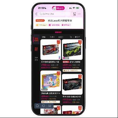 ΨƷ�� �ָߣ�LEGO ����2.5���� ����2.5����