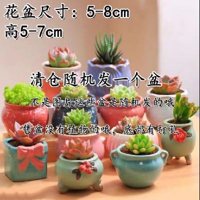 �մɶ��⻨�� ����������� �����һ���� �մ� С�� 0.32Ԫ