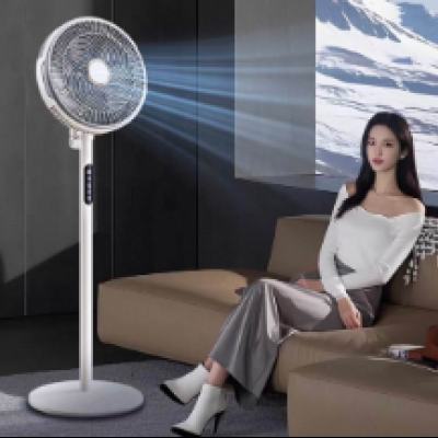 ��ά ������ص���� 2026�¿� 3���� ���ҡͷ ����79.25Ԫ+6Ԫ�Խ��